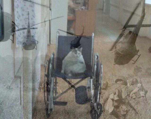 Оскара ему, срочно!