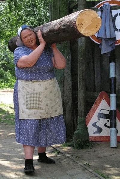 фотожаба: с бревном