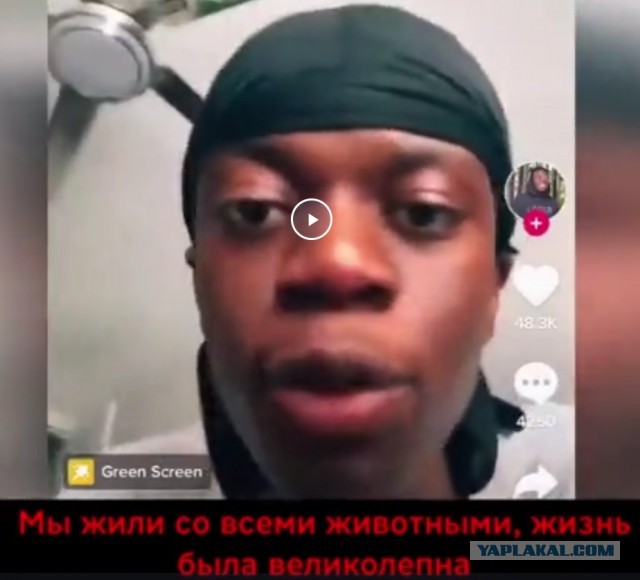 Немного истории США от истинного американца!