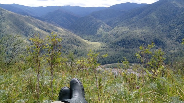 На конягах по Алтаю