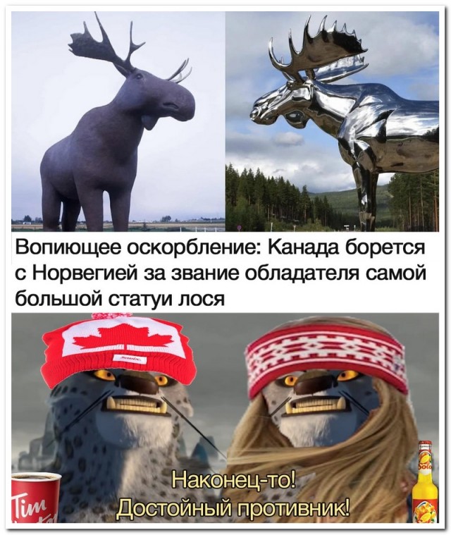 Забавные комментарии из социальных сетей (14.12.20)