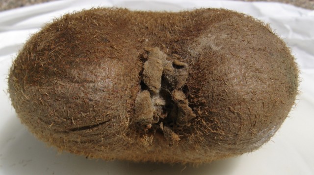 Жена из деревни. Стоит ли?