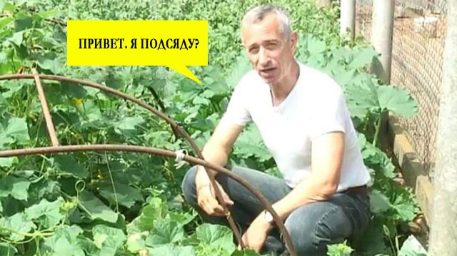 Так себе картинки 04.02.21