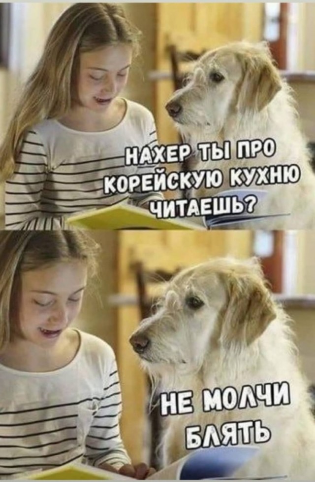 Мадам и месье, ещё раз бонжур