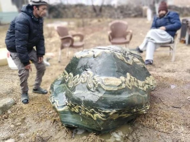 Природа чудит