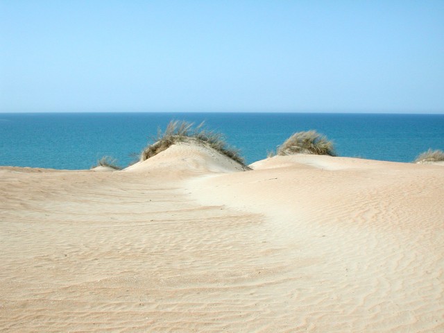 Красота пустыни