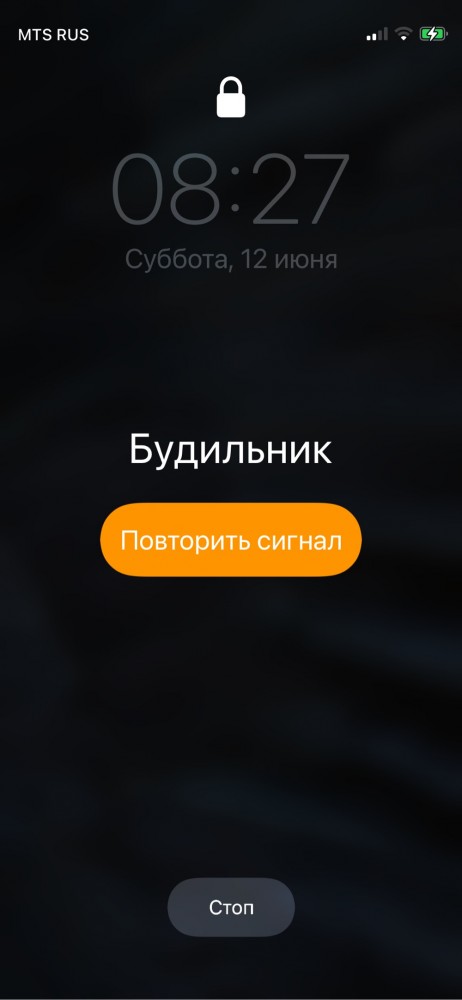 Последняя картинка в вашей Галерее/Загрузках