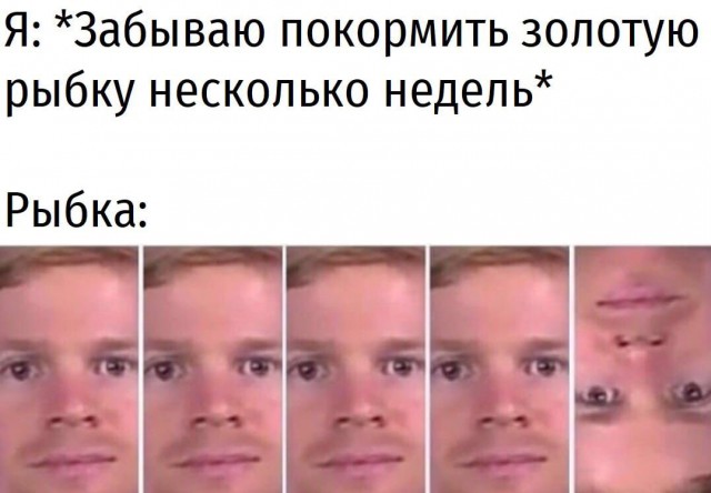Картинки и мемы для настроения 18.08.2021