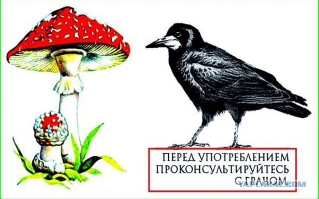 Утренние думки