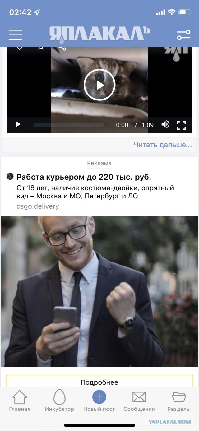 Сколько зарабатывают ЯПовцы? (опрос)