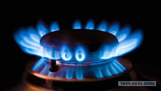В Германии предупредили о риске остановки производств без газа из России