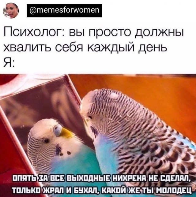 Среда пришла - неделя прошла, дорогие деграданты