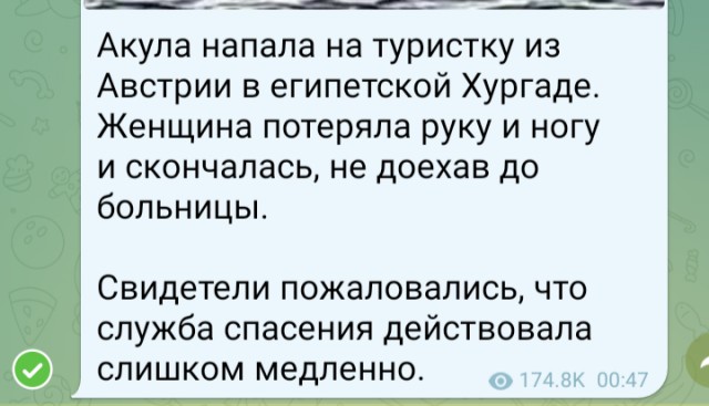 В Египте акула напала на туристку — она откусила ей руку и ногу