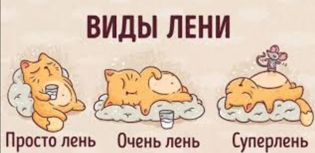 Женский взгляд работницы ЗАГСа на современные отношения