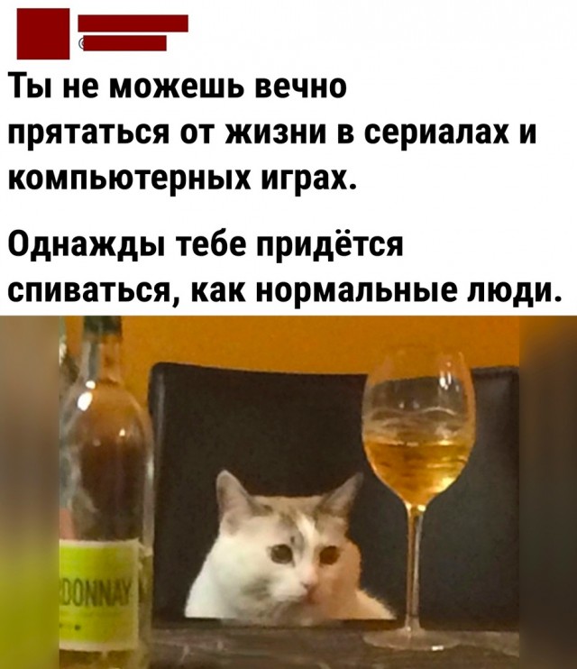 Так себе картинки 18.09.22