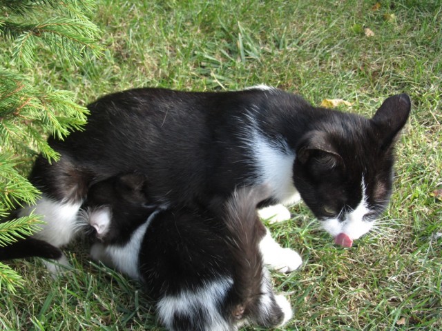 Мечты сбываются