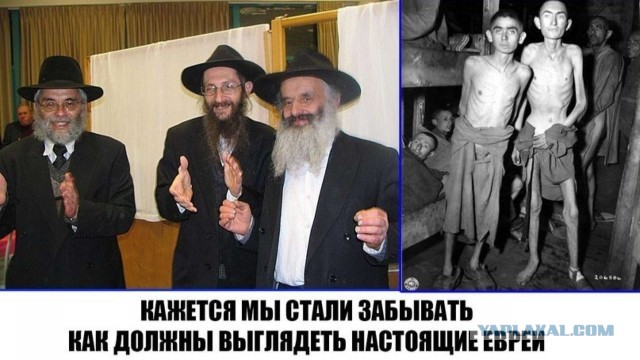 ❗️Уже в самое ближайшее время начнется битва за Херсон, заявил вице-губернатор Херсонской области Стремоусов.