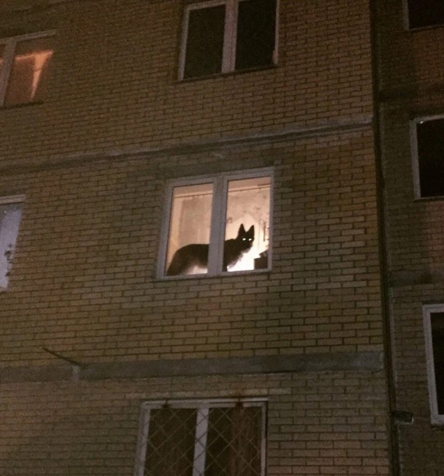 Эмм...