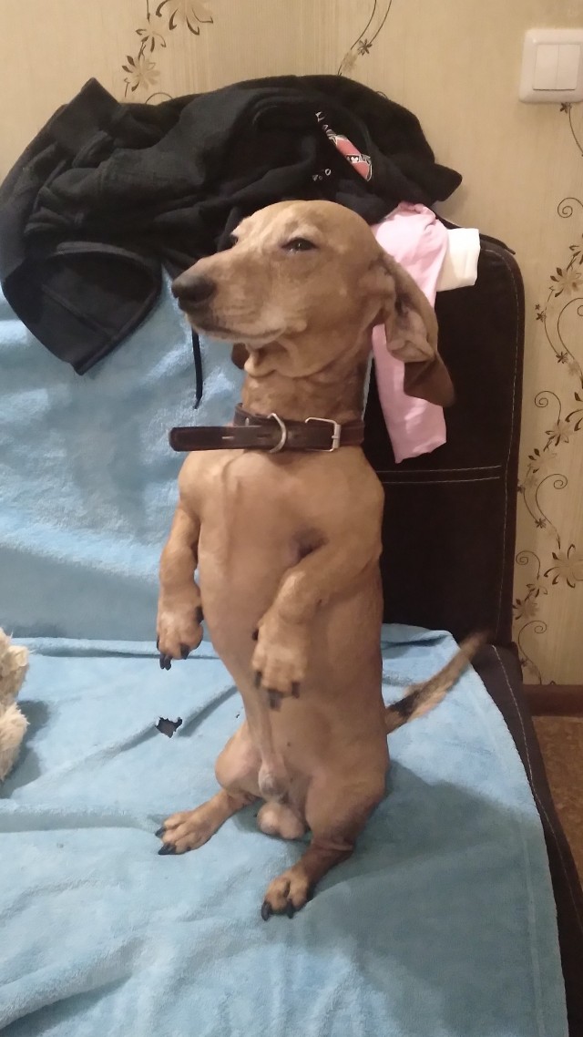 Ну, типа, с четвергом!
