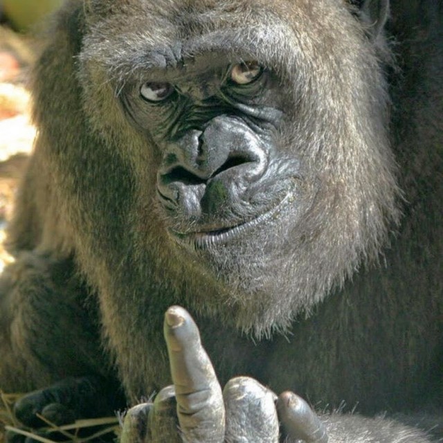 В Офисе Зеленского заявили о готовности дать РФ гарантии безопасности