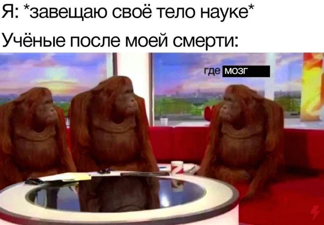 Народная меДИЧина 4010