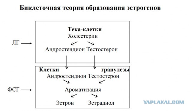 Испортились отношения с мужем после аборта