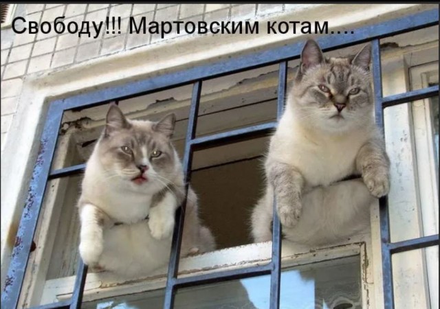 Победная поступь идиотизма по планете – том 9
