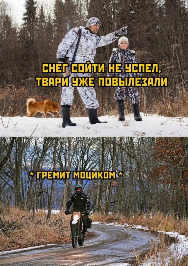 Немного картинок для настроения - 155