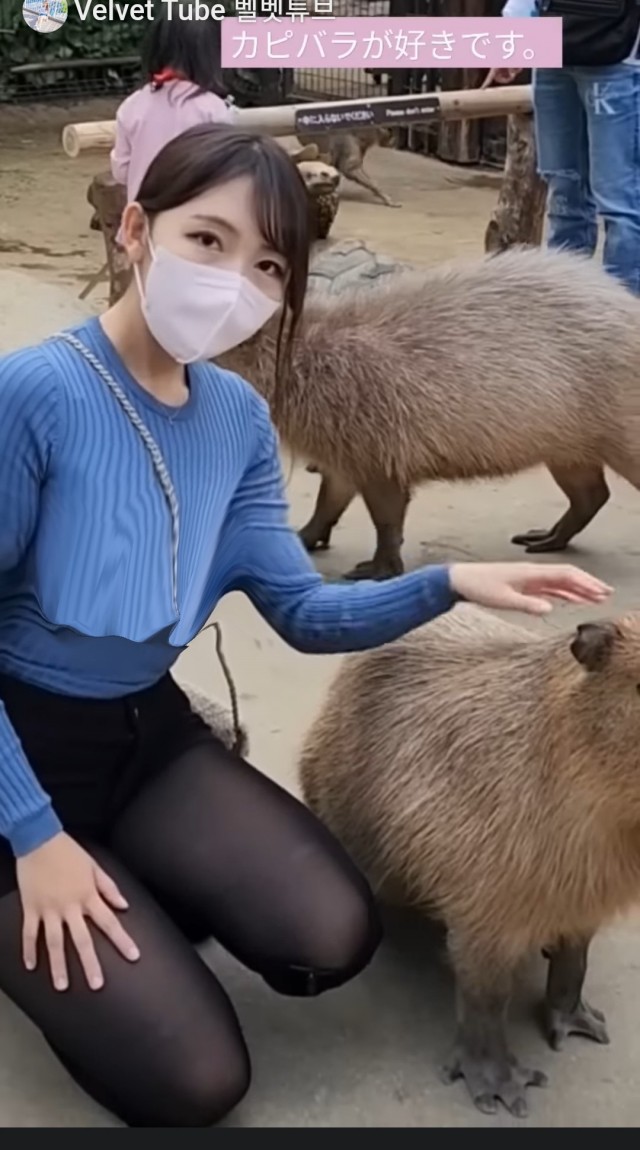 Большие капибары