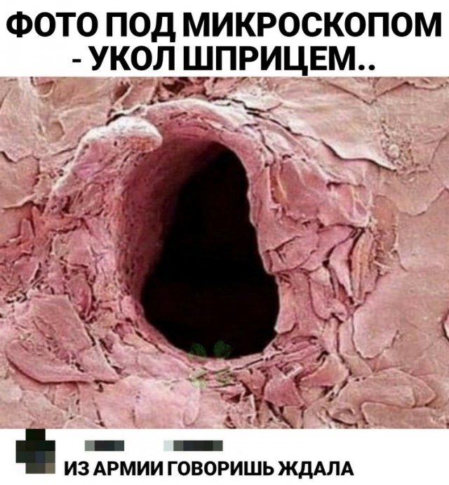 Немного картинок для настроения - 165
