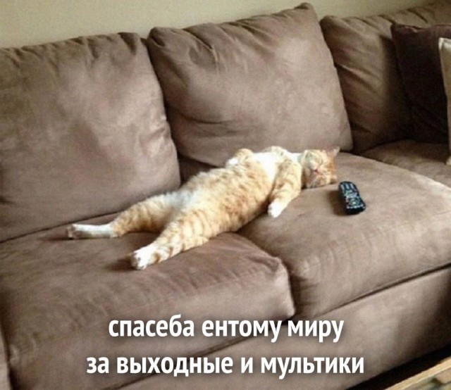 Картинки и мемы для настроения - 181