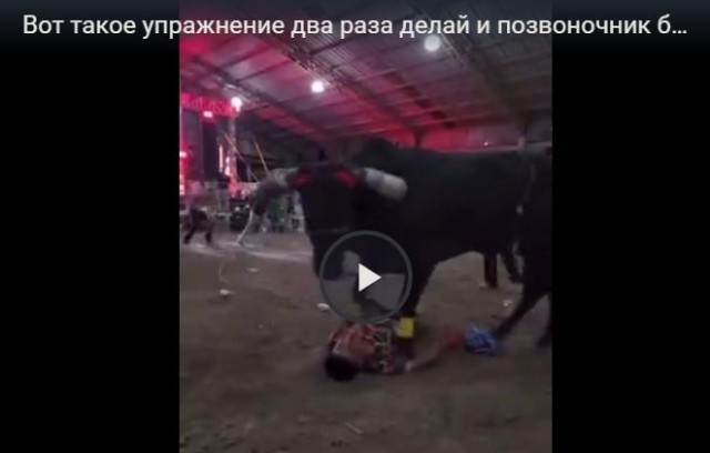 Опасное животное и развлечение у людей