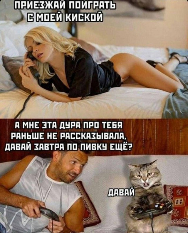 Немного мемчиков. Для взрослых. Часть 32