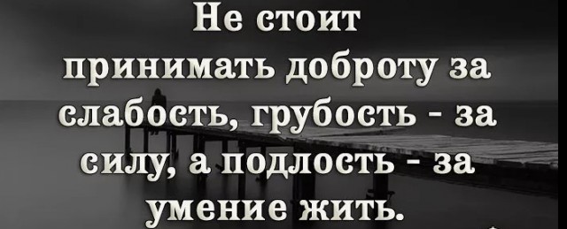Власти Миньяра извинились за срубленную 40-летнюю ёлку на участке местной жительницы