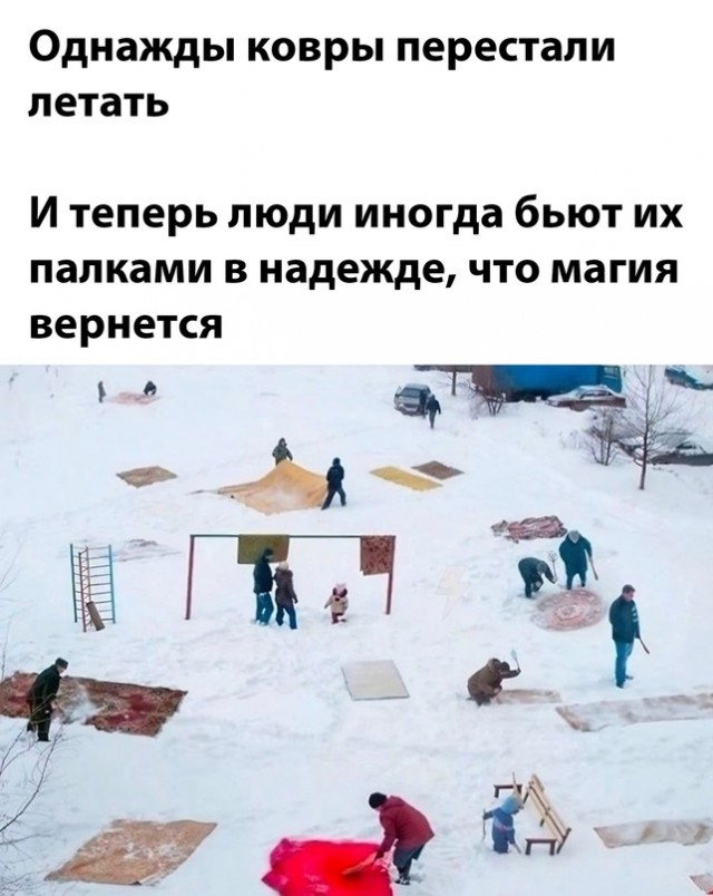 Весёлый полтишок 12.12.2023