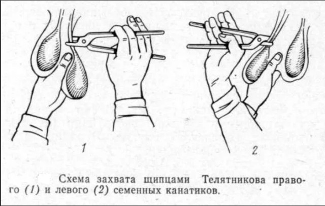 Мужчина, осуждённый за сексуальное насилие над ребёнком, освободился из колонии и через 4 дня вновь совершил насилие над ребёнком в Кирове.