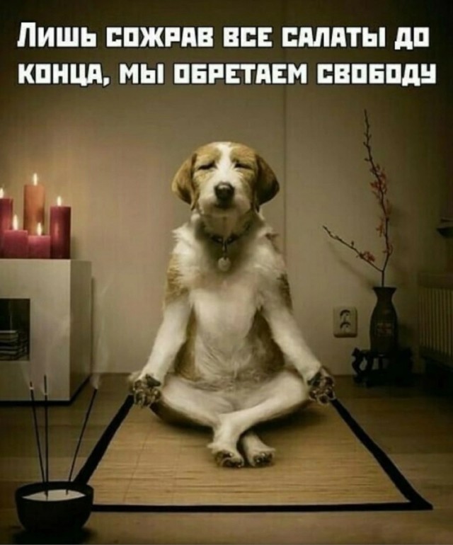 Так себе картинки 06.01.24