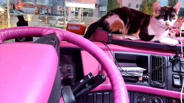 Когда бросил Кен и приходится работать самой