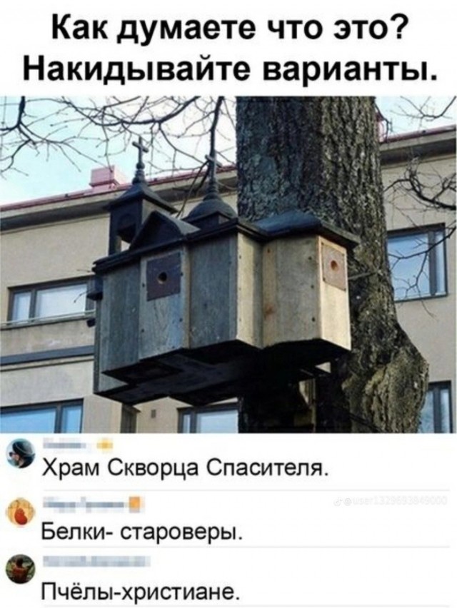 Так себе картинки 09.02.24
