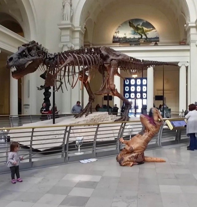 Подборка интересных и веселых картинок 12.02.24