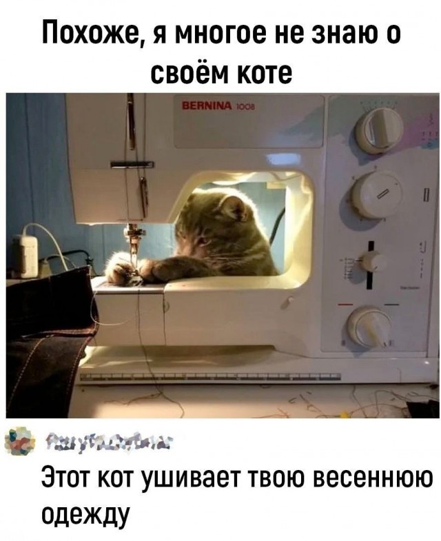 Юмор в картинках и без