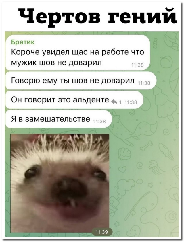 Забавные комментарии из социальных сетей (26.02.24)