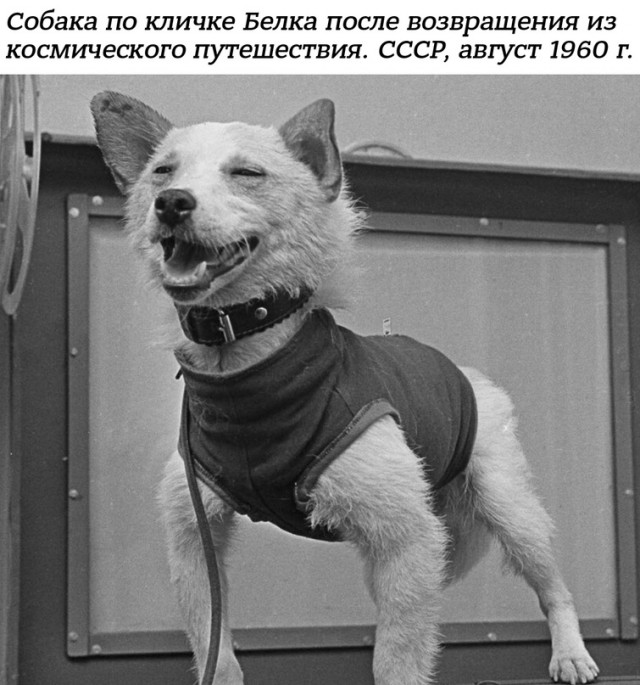 Небольшая подборка истрических фото (26.03)