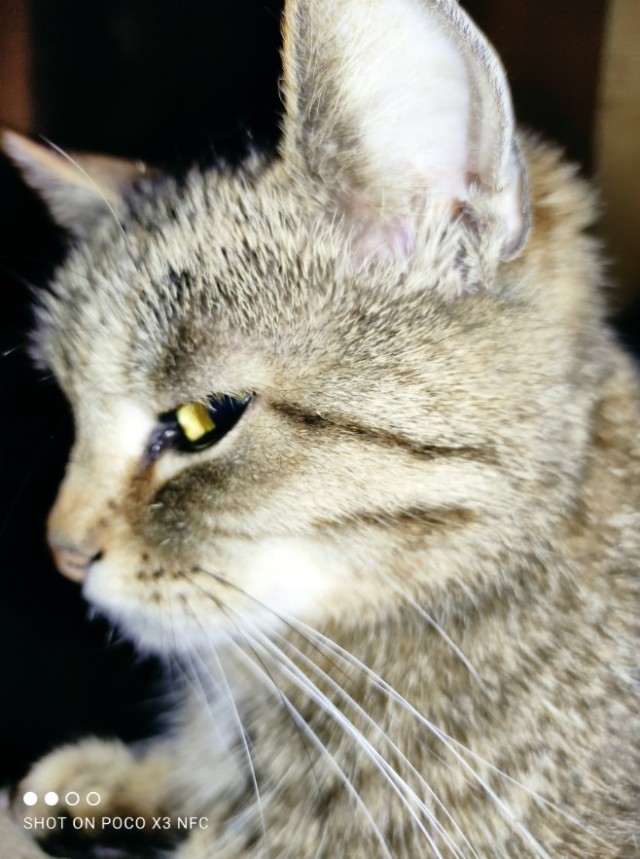 Сборник рассказов ЯПовских авторов. Обсуждение проблемы.