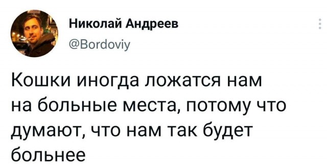 Никакие картинки и такие же тексты