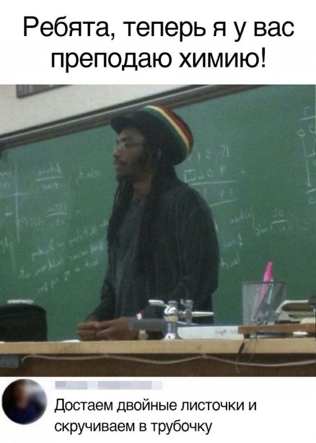 Весёлый полтишок 27.05.24