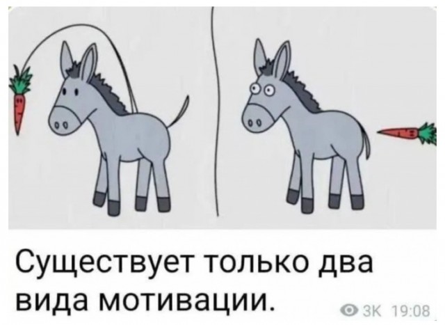 Володин напомнил о лишении мандатов депутатам которые против закона о «пропаганде чайлдфри»