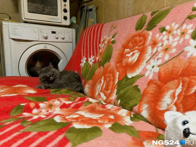 Как живут люди в красноярской общаге, которую все обходят стороной