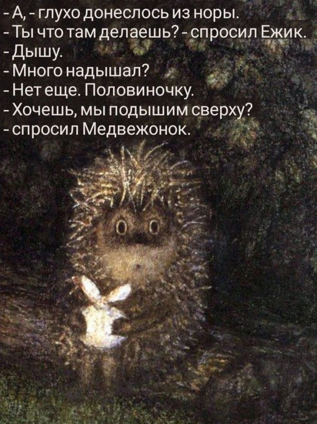 Прикольные и просто красивые картинки 11.04.2025