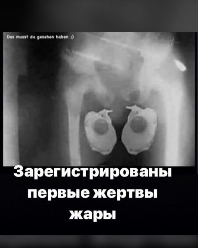 Ну что, господа. Послепраздничная дичь